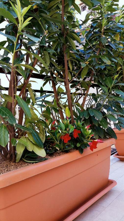 סלרנו B&B Malaga מראה חיצוני תמונה